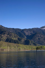 Obraz premium 上高地、大正池