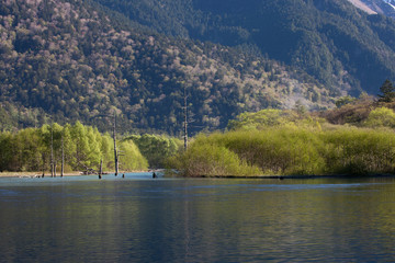 上高地、大正池