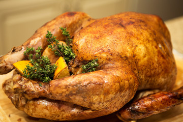 Thanksgiving Turkey