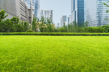 green lawn with city skyline background,shanghai china.