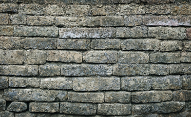 Old moldy brick wall background