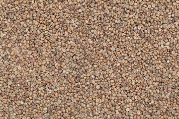 Raw coffee beans background
