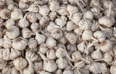 Garlic background