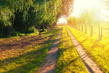 Sandy country road through the fields