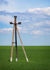 Fototapeta na wymiar Concrete pole - power lines in the field