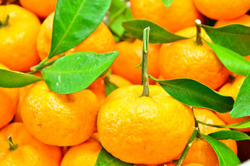 Yellow of Orange from chinese country