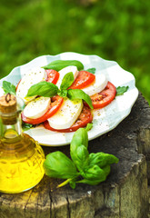 Classic Caprese Salad with Mozzarella Cheese, Tomatoes and Basil