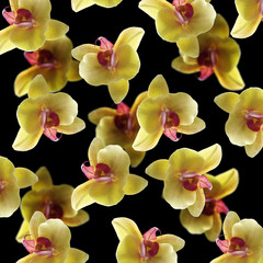 Beautiful flower pattern from a yellow orchid 