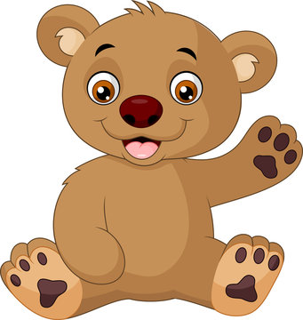 Cute baby bear cartoon

