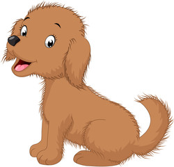 Cute dog sitting isolated on white background 