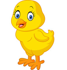 Cute chicken cartoon


