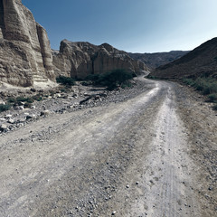 Road in Desert
