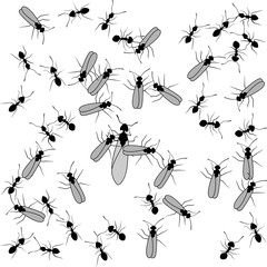 Background with black ants