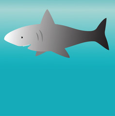 Shark
