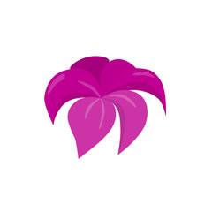 Naklejka premium pink blossom flower beautiful vector illustration