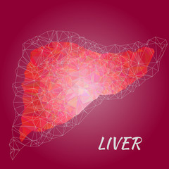 liver disease vector illustration