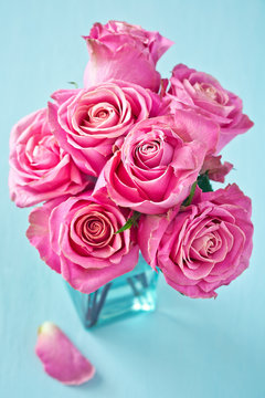 Beautiful pink roses flowers close-up on a blue background.Floral gift for a wedding or birthday.