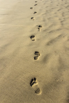 Huellas en la arena de la playa
