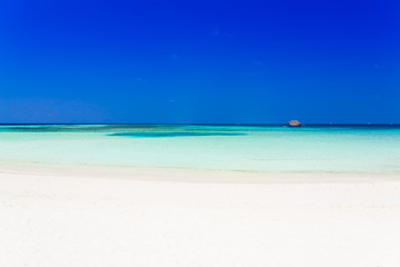 Fototapeta na wymiar Maldives, tropical sea background 3!