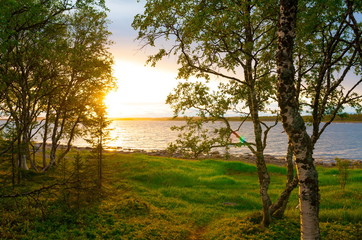 Fototapeta na wymiar Solovki. landscape lake sunset!