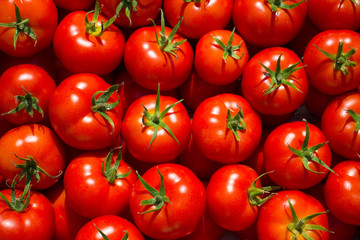 Tomatoes