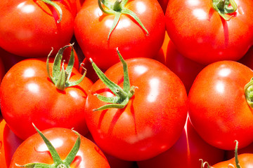 Tomatoes