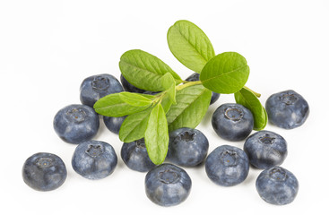 Blueberries with a sprig with leaves on white background