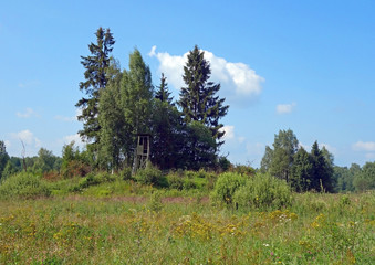 Landscape with green fores,meadow and hunting tower, Tver region, Russia        
