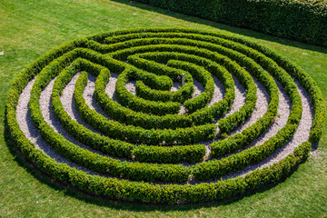 Green bushes circular labyrinth, hedge maze. Top view.