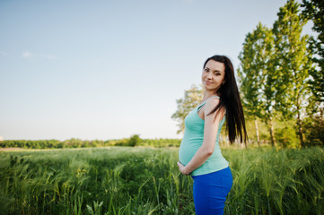 Beautiful brunette pregnant woman at wreath field