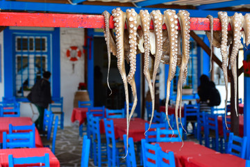 Traditional greek food Octopus drying in the sun in the village