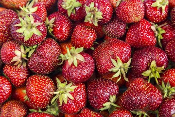 Background from freshly red harvested strawberries, nature