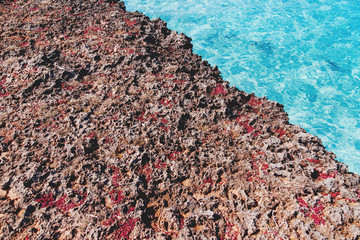 Volcanic tuff coast and azure Caribbean sea. Stone texture. Varadero, Cuba.