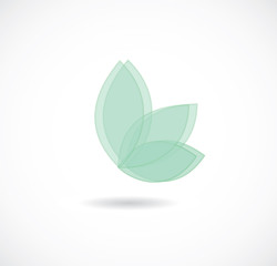 leaf icon vector