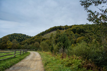 Fototapeta na wymiar Carpathian Mountains, country road.