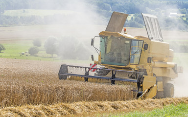 Obraz premium faucheuse de céréales en action sur le champ