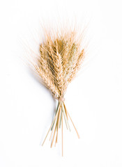 Obraz premium Wheat ears isolated on white background
