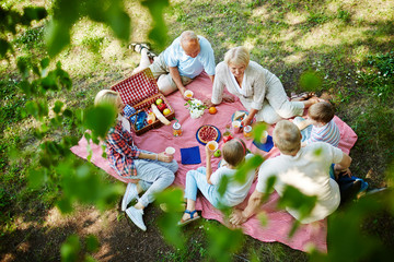 Family picnic