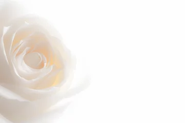 Foto auf Acrylglas Rosen Rose hautnah im Hintergrund