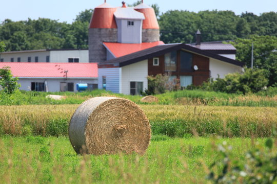 「ロール」の画像 4,623 件の Stock 写真、ベクターおよびビデオ Adobe Stock