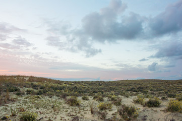 Dune covered with vegetation in the light of the setting sun.