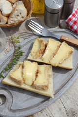 tartines de camembert 26072016
