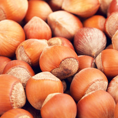 Hazelnuts In A Shell Background
