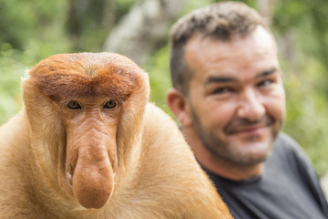 Looking the proboscis monkey in Borneo