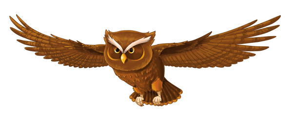 Cartoon bird - owl flying - isolated - illustration for children © honeyflavour