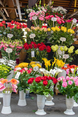 Fototapeta na wymiar Offer fresh cut flowers with price tags in the shop market
