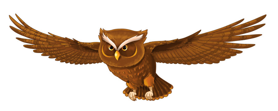 Cartoon Bird - Owl Flying - Isolated - Illustration For Children