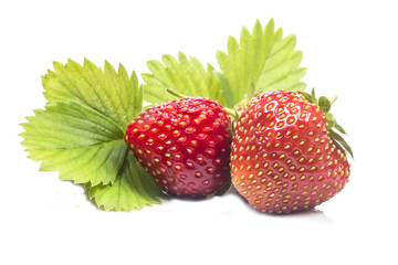 Two juicy red strawberry with leaves