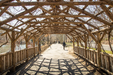 centra park new york