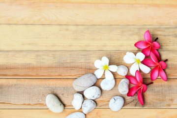Plumeria flower and stone on wood plate